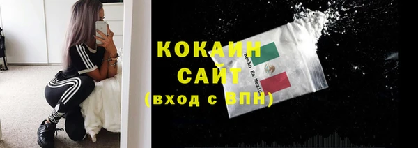 молекула духа Алексеевка