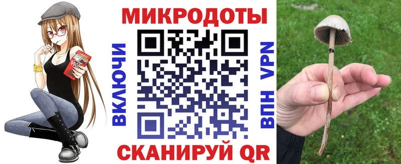 Псилоцибиновые грибы мицелий  Луга 