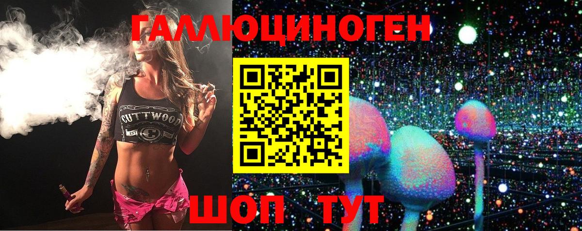 Галлюциногенные грибы мицелий  Вход с VPN  Луга  Галлюциногенные грибы Psilocybe 