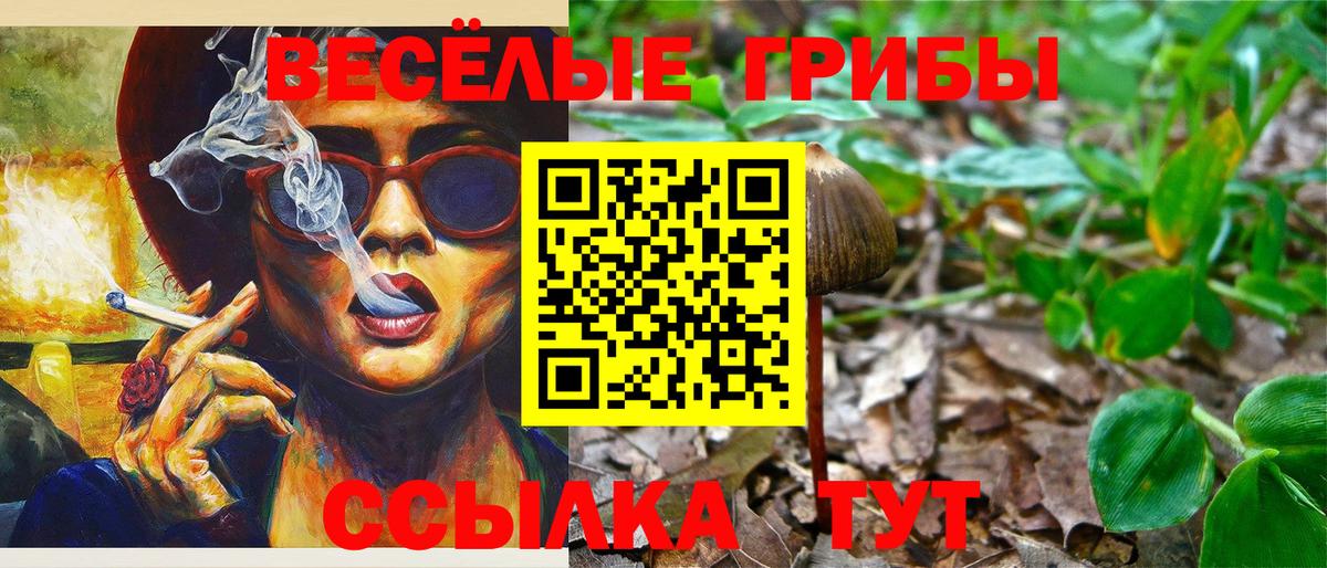 Галлюциногенные грибы Psilocybine cubensis Луга